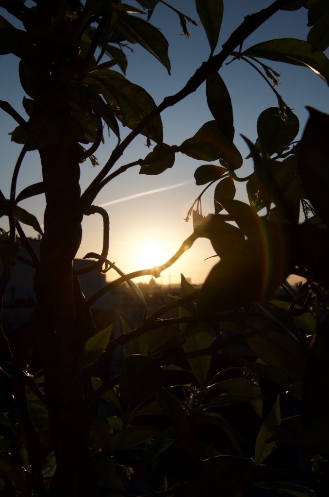 Sunrise Paris