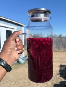 Orange Cranberry Harvest Sangria